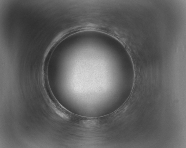 X0000083530102200702091017