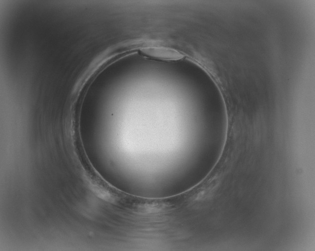 X0000083530103200702091017