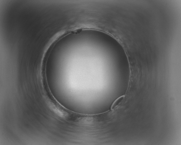 X0000083530104200702091016