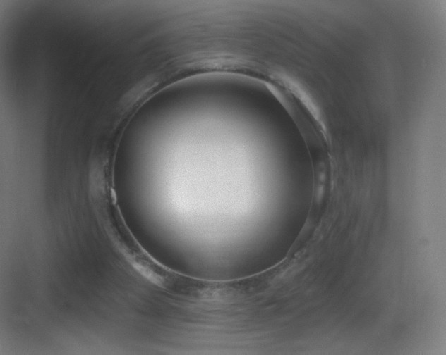 X0000083530105200702091016