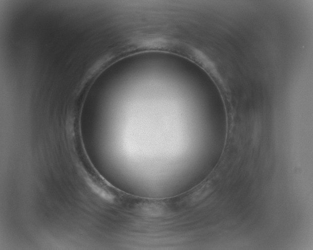 X0000083530106200702091016