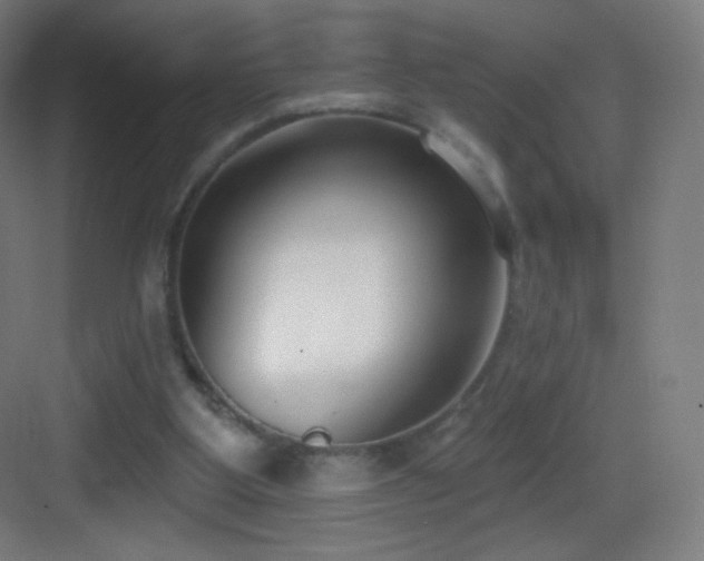 X0000083530107200702091016