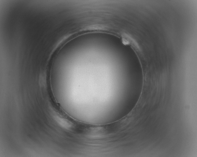 X0000083530108200702091016