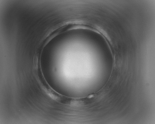 X0000083530109200702091016