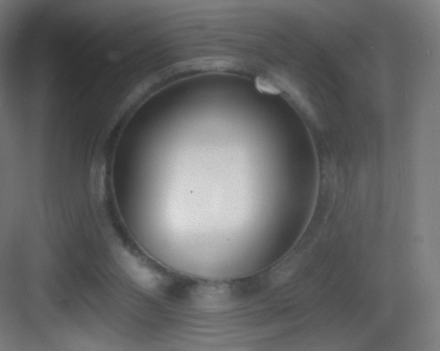 X0000083530110200702091016