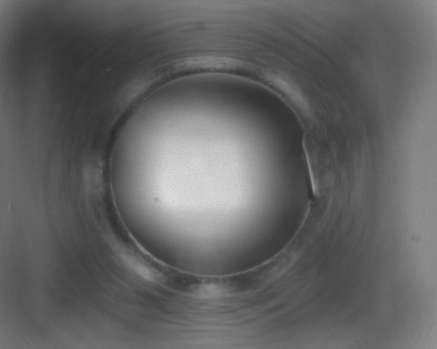 X0000083530111200702091016