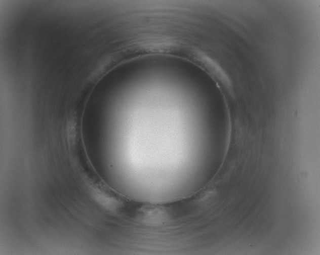 X0000083530113200702091016