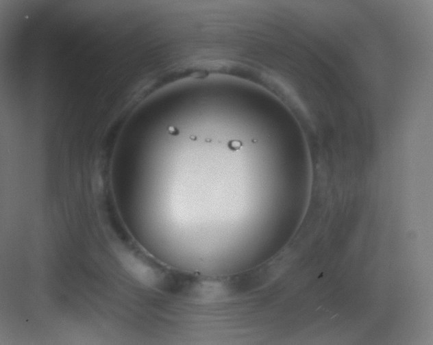 X0000083530114200702091016