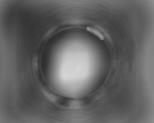 X0000083530115200702091016