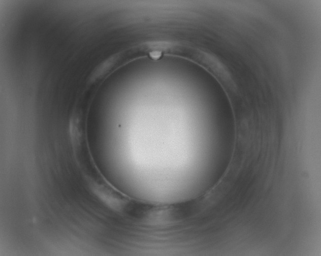 X0000083530116200702091016