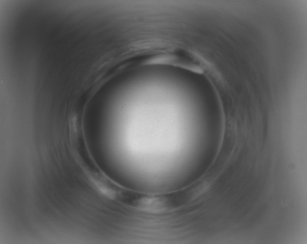 X0000083530117200702091016