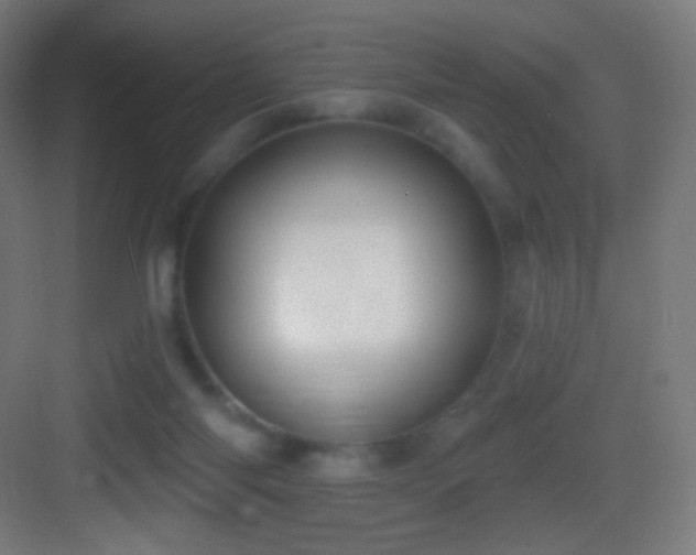 X0000083530118200702091016