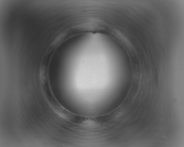 X0000083530119200702091016