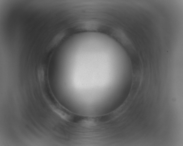 X0000083530120200702091016