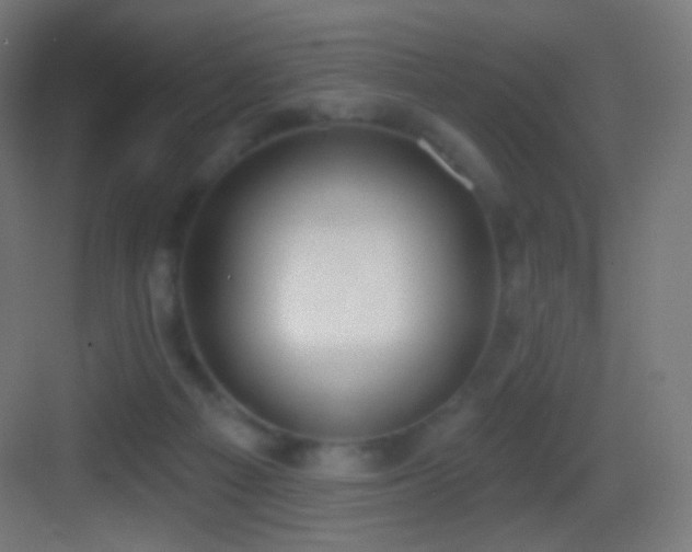 X0000083530121200702091016