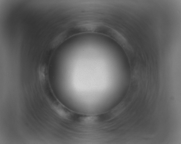 X0000083530122200702091016