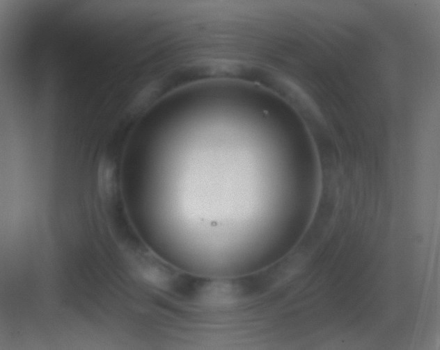 X0000083530123200702091016