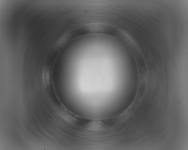 X0000083530124200702091016