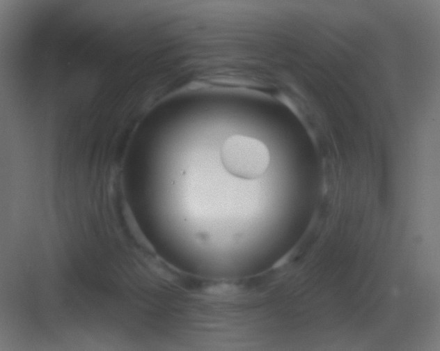 X0000083530125200702091016