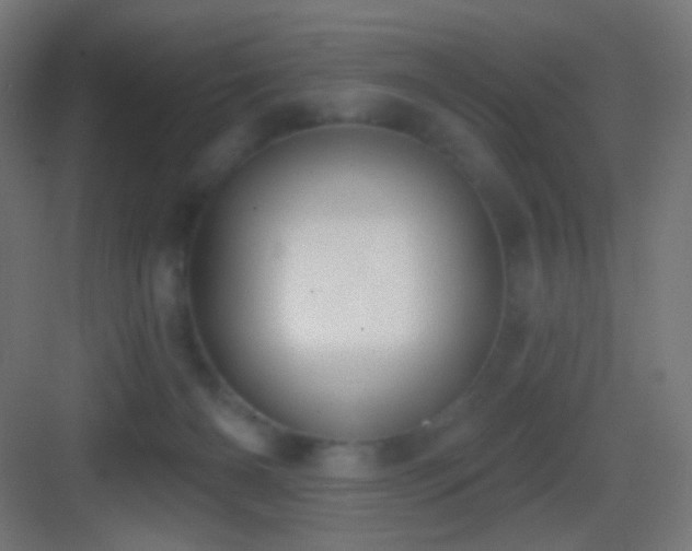 X0000083530126200702091016