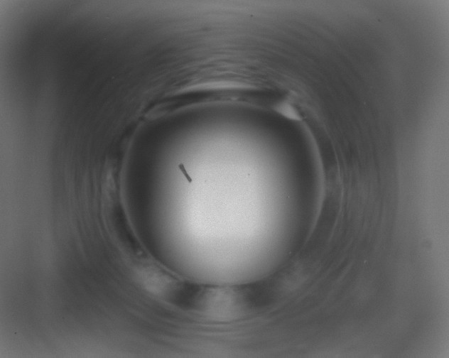 X0000083530127200702091016