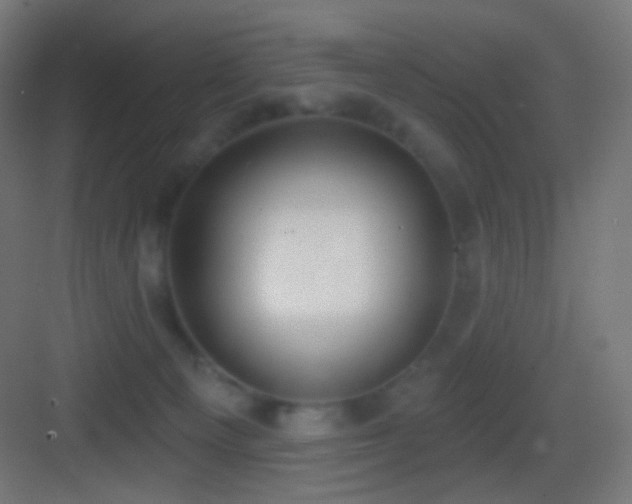 X0000083530129200702091016