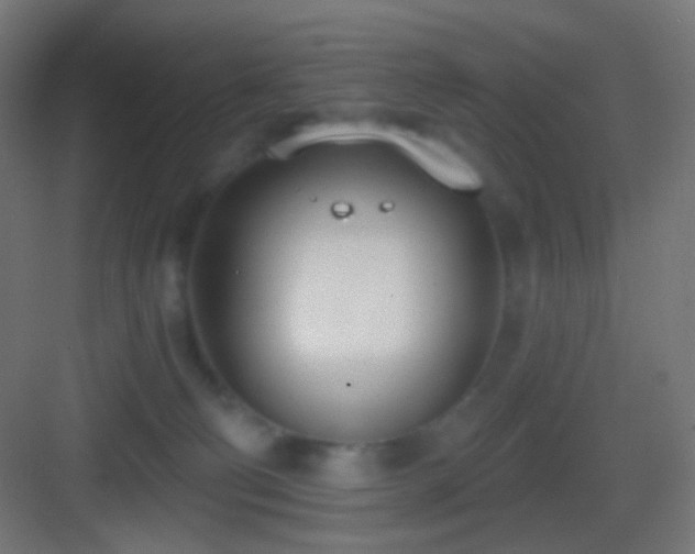 X0000083530130200702091016