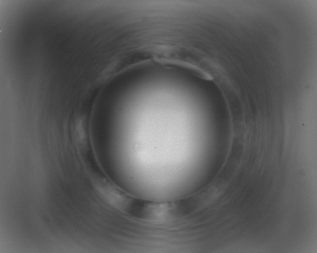 X0000083530131200702091016