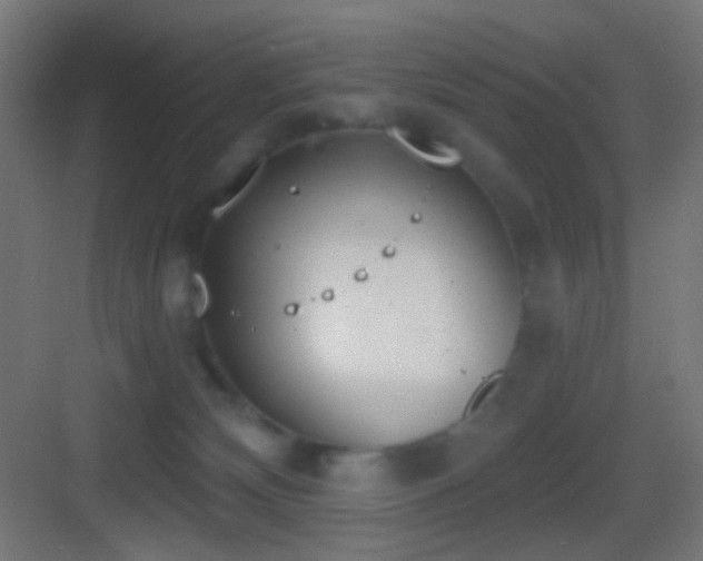 X0000083530132200702091016