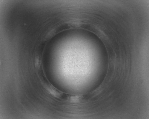 X0000083530134200702091016