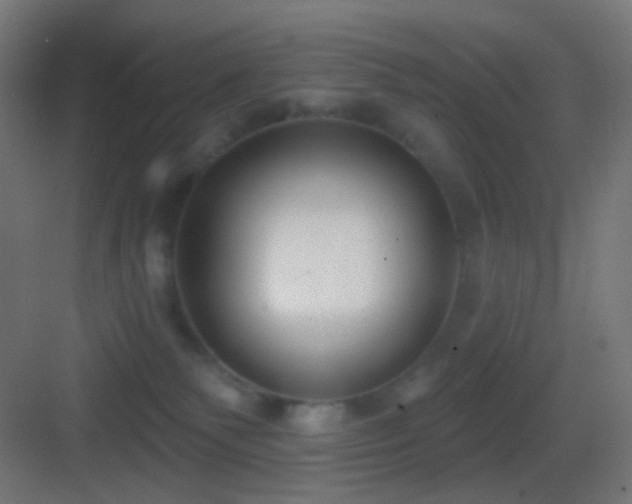 X0000083530135200702091016