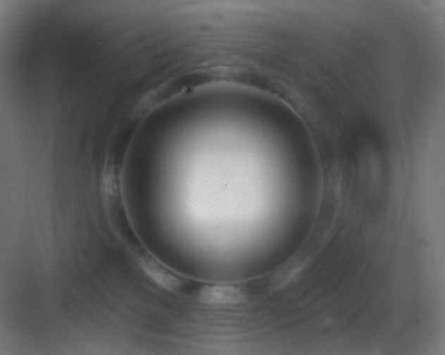 X0000083530137200702091016