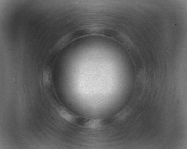 X0000083530138200702091016