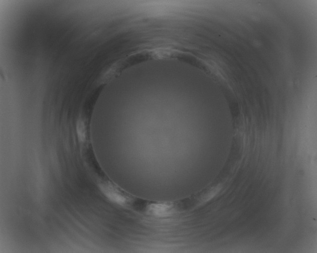 X0000083530139200702091016