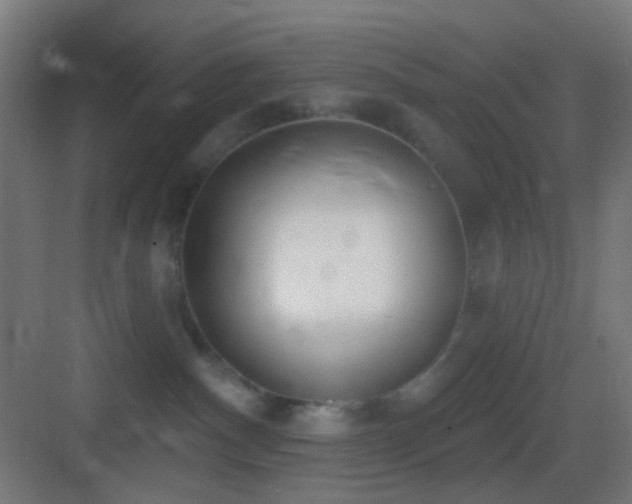 X0000083530140200702091016