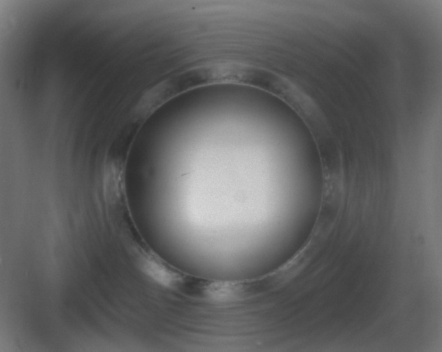 X0000083530142200702091016