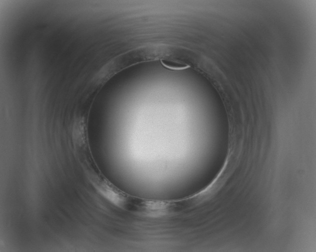 X0000083530144200702091016