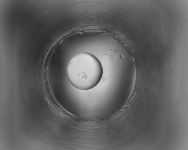 X0000083530146200702091015