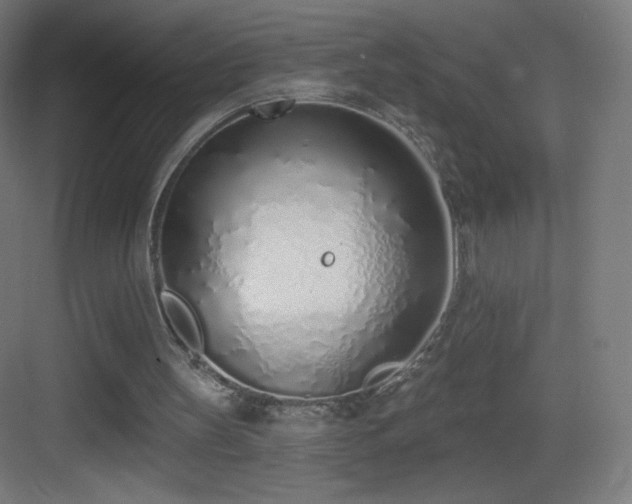 X0000083530147200702091015