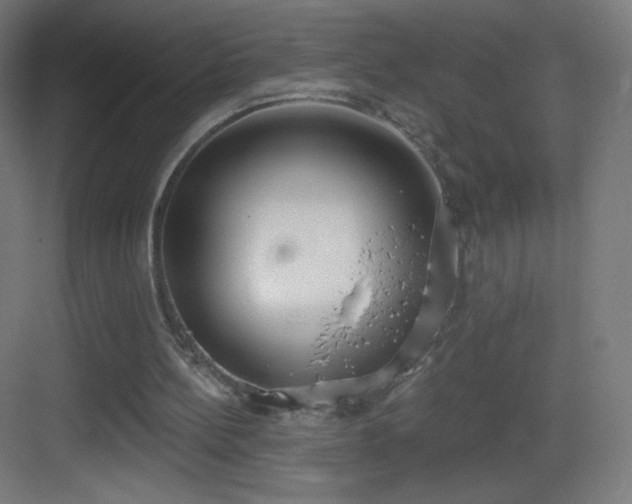 X0000083530148200702091015