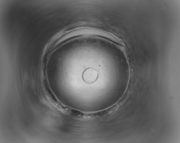 X0000083530149200702091015