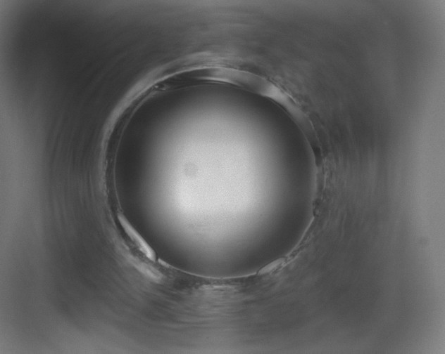 X0000083530150200702091015