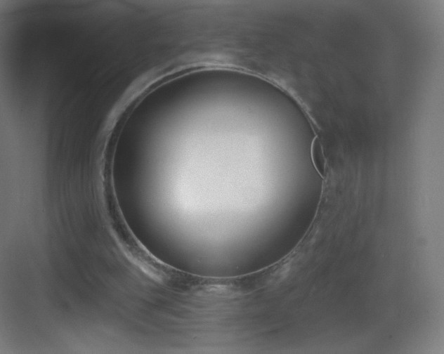 X0000083530151200702091015