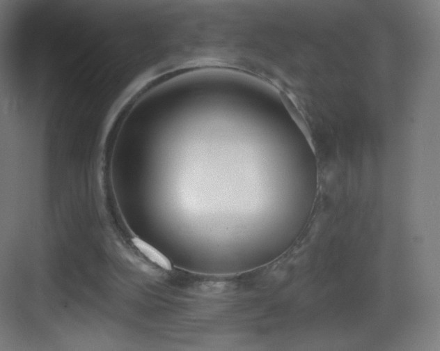 X0000083530152200702091015