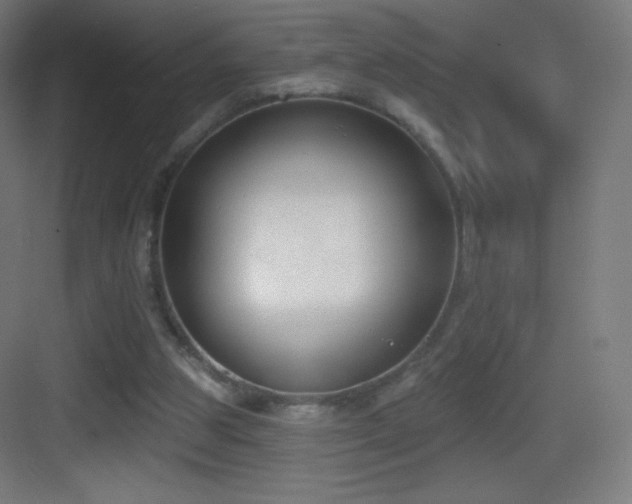 X0000083530153200702091015