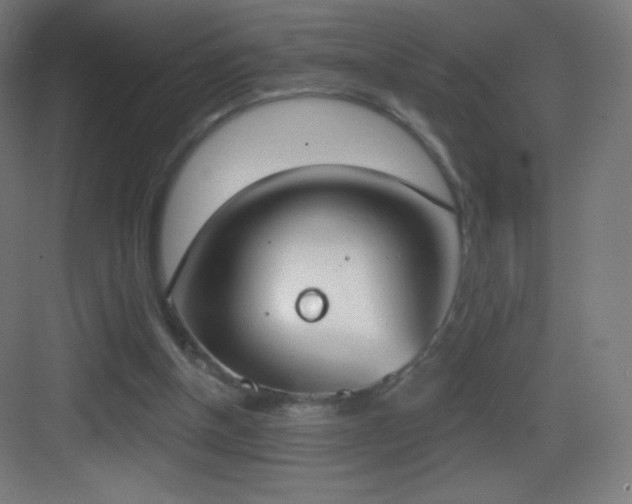 X0000083530154200702091015