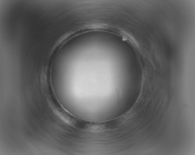 X0000083530155200702091015