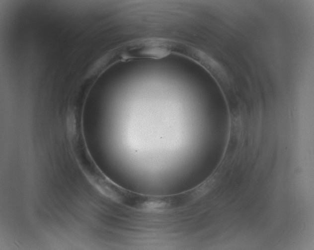 X0000083530158200702091015