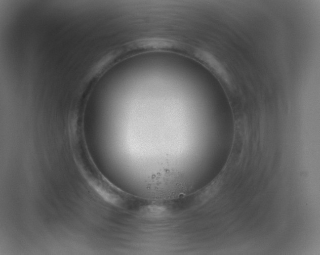 X0000083530159200702091015