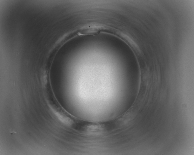 X0000083530160200702091015